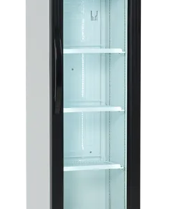 ENFRIADOR DE BOTELLAS CON CARCASA FSC175H